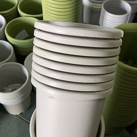 树脂微瑕4号8个无托灰白