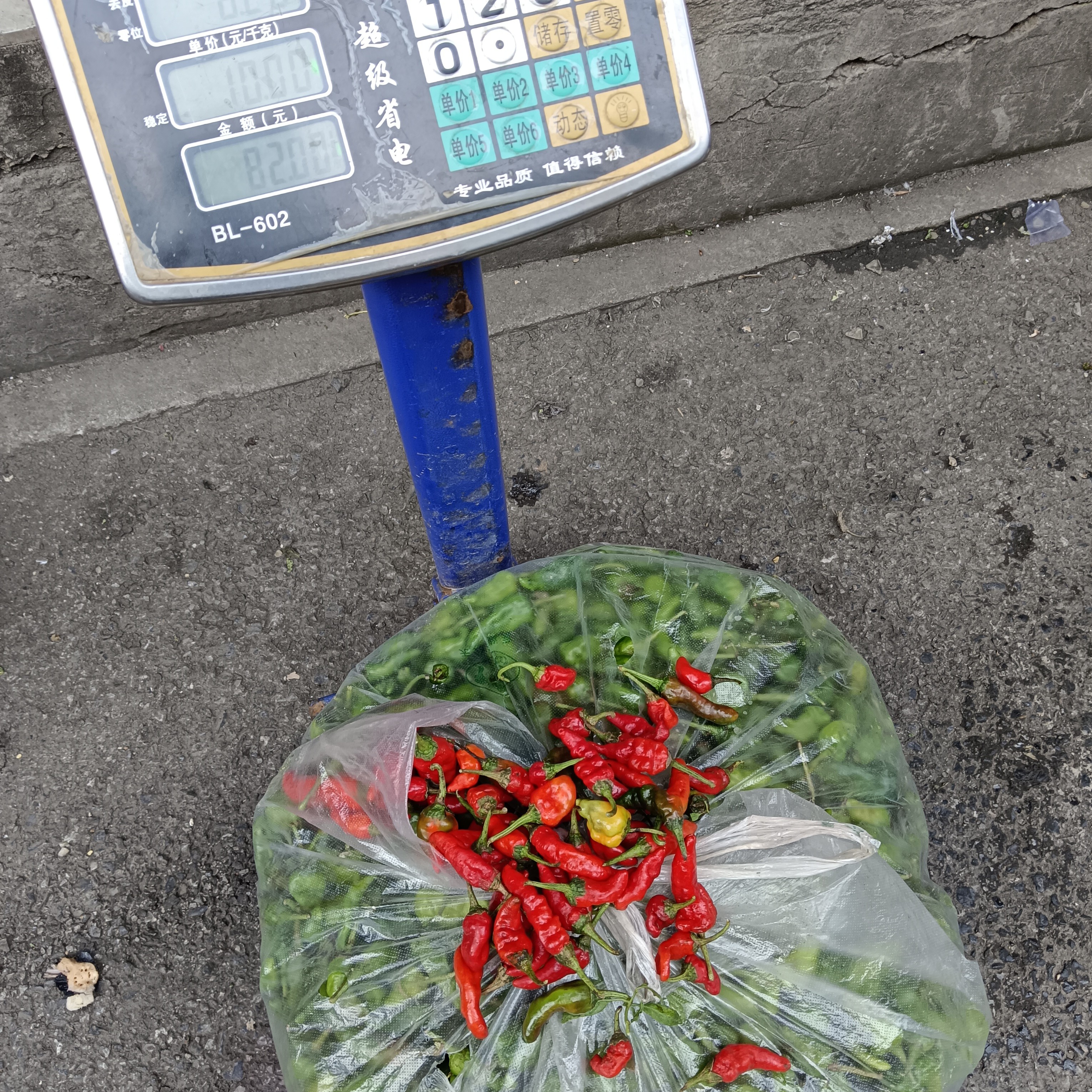 新鲜农家自种青红混装辣椒皮薄肉厚香辣可口