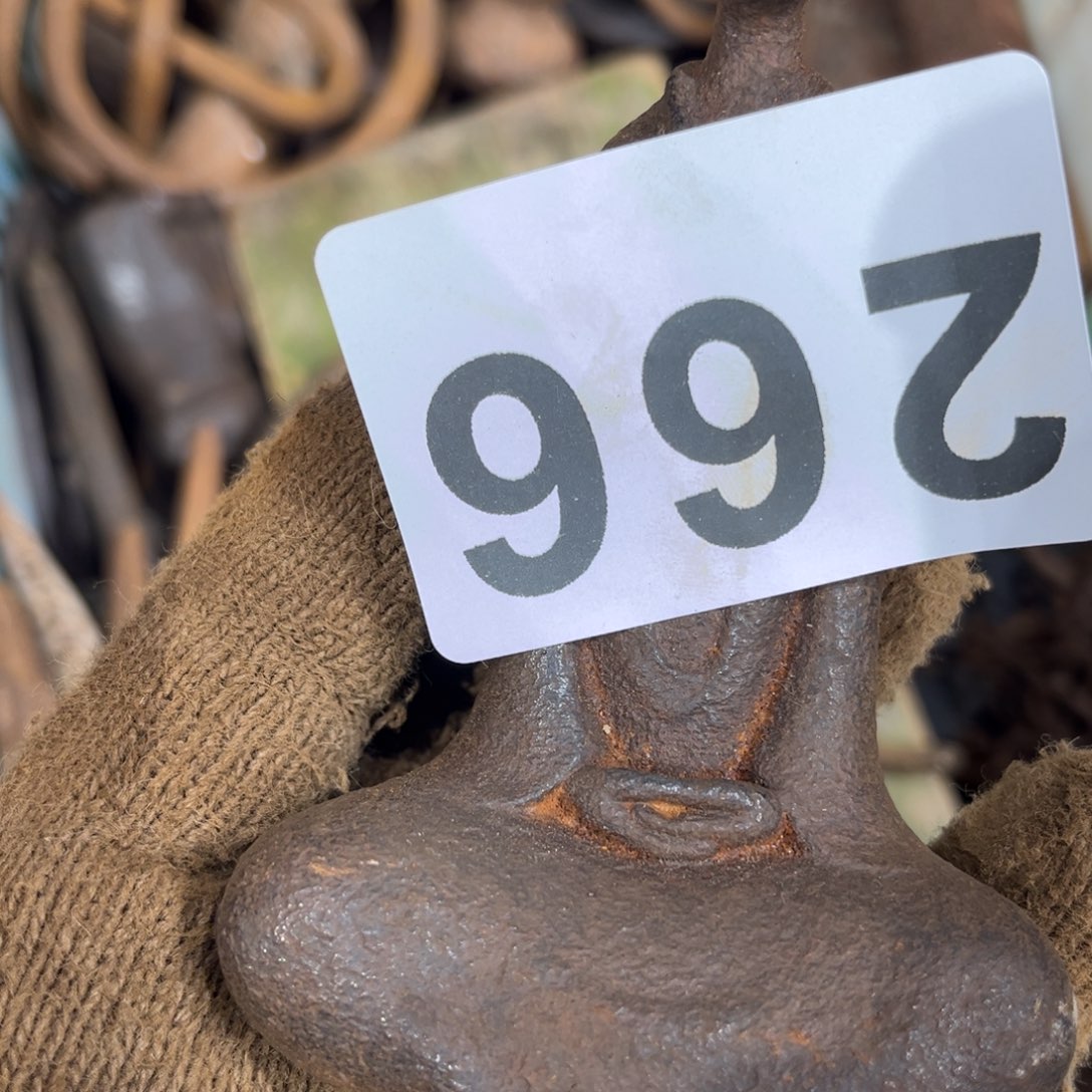 爱***尼一物一图，工艺品266