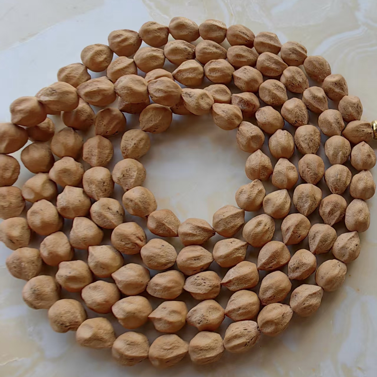 柏香籽~原桩红油皮多棱1009