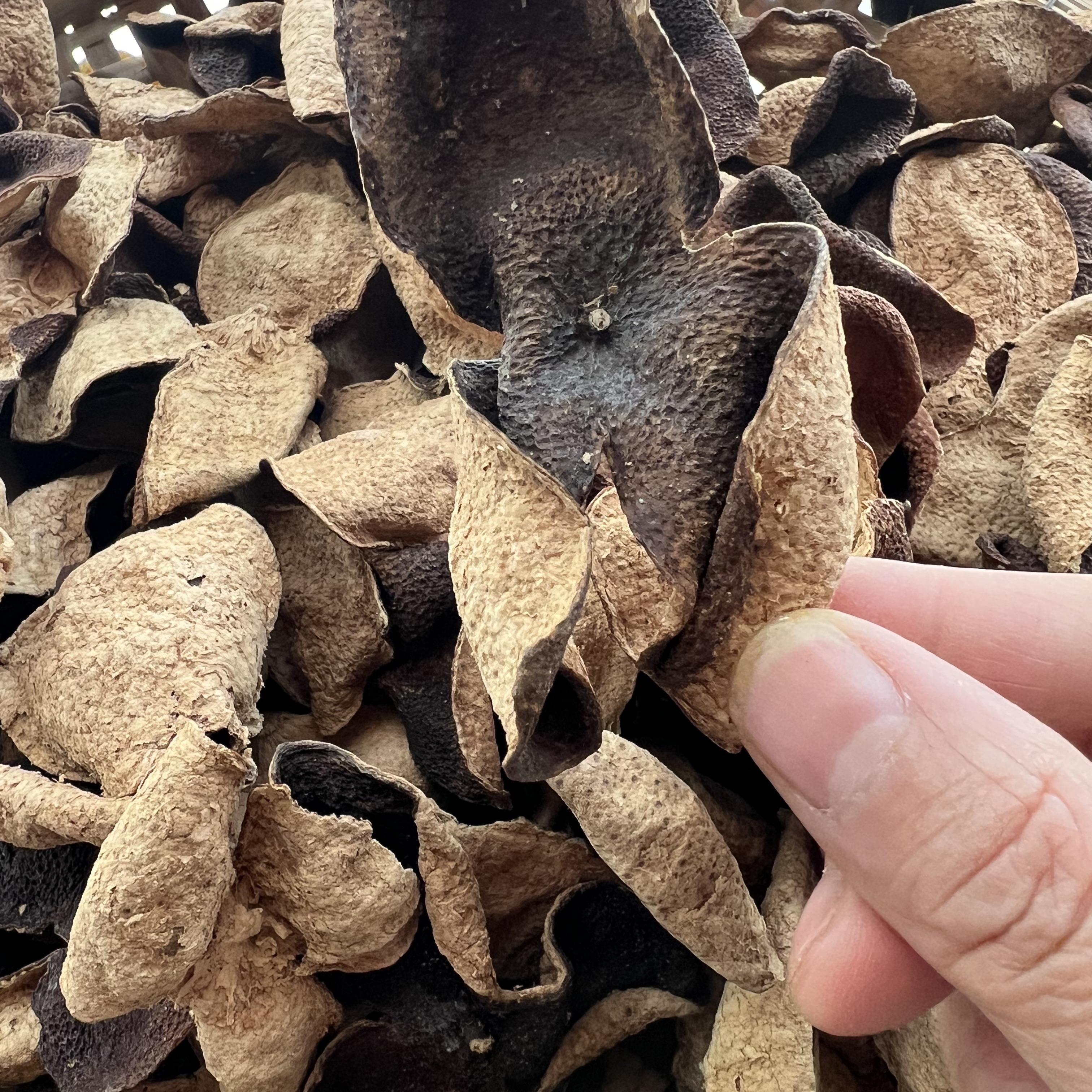 2005年东甲二红皮陈香樟香入喉有清凉感传统叠堆储存全国顺丰包邮