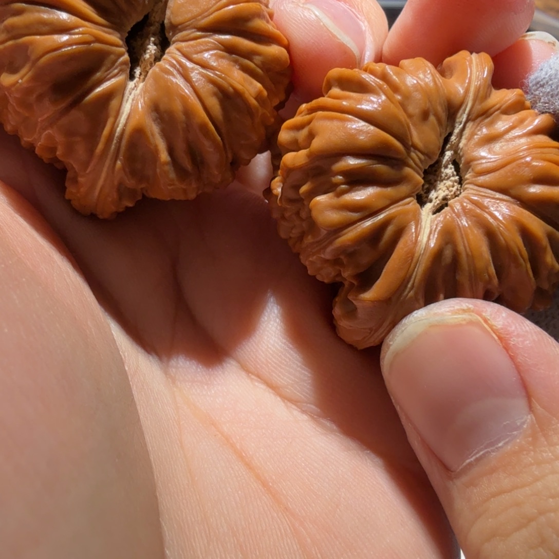 哇****把件文玩核桃拱桥楼