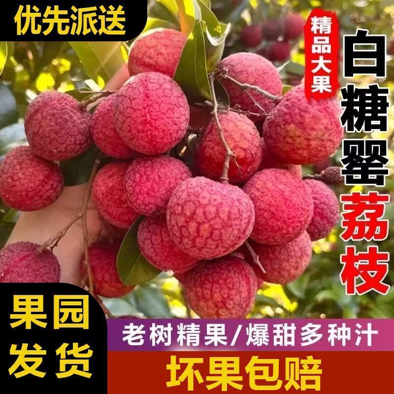 【顺丰京东次日达】只发大果白糖罂新鲜荔枝礼盒装五斤纯甜无酸今天拍明天到单果18g（净果4斤）广东省