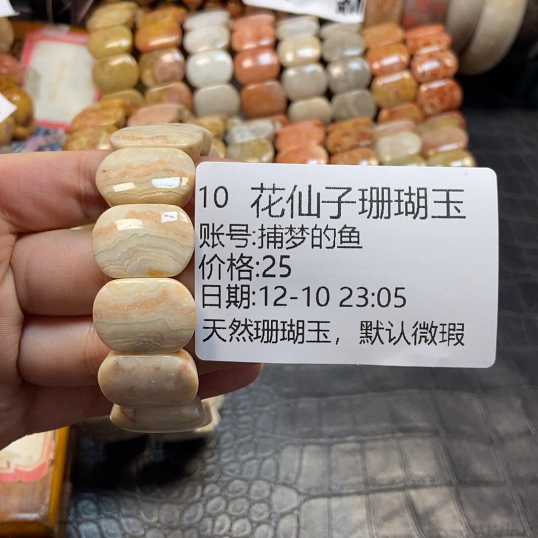 捕***鱼硅化珊瑚（珊瑚玉）未镶嵌珠宝半成品10