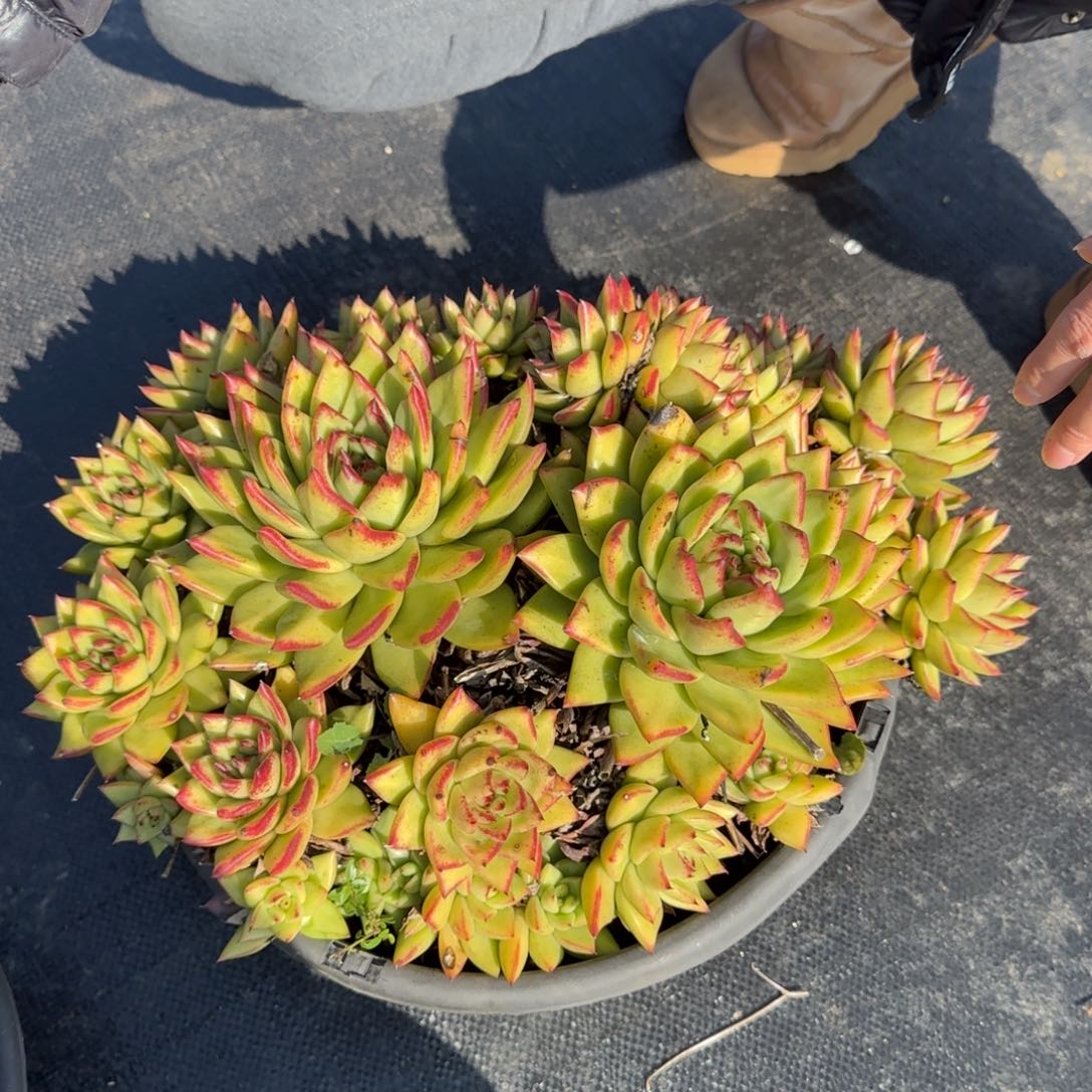 r***i福利多多多多多多