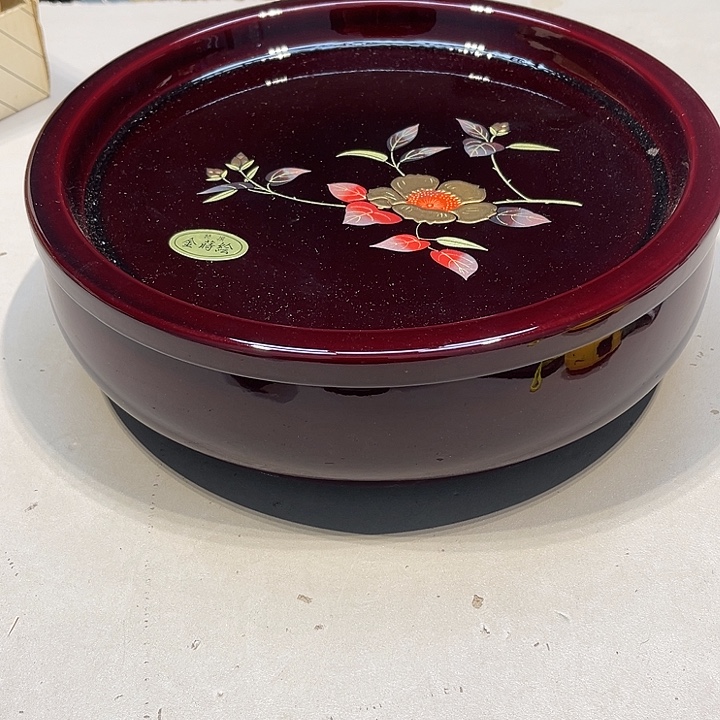 东***珠好好好好好好好好