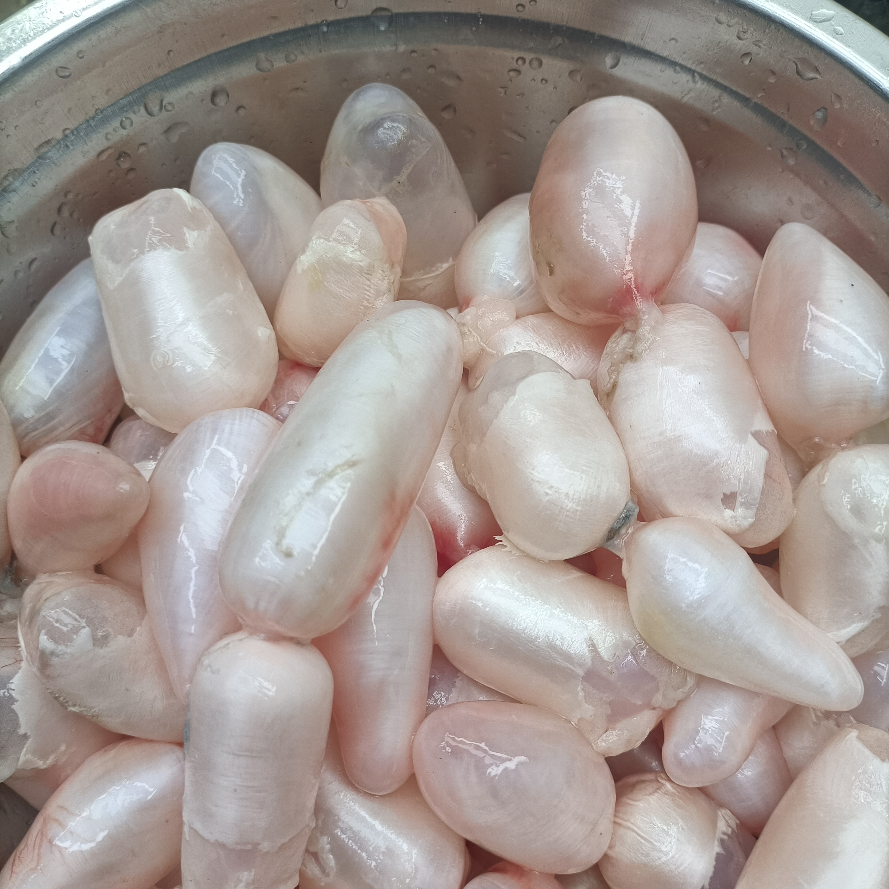 顺丰包邮新鲜鱼的鱼泡泡