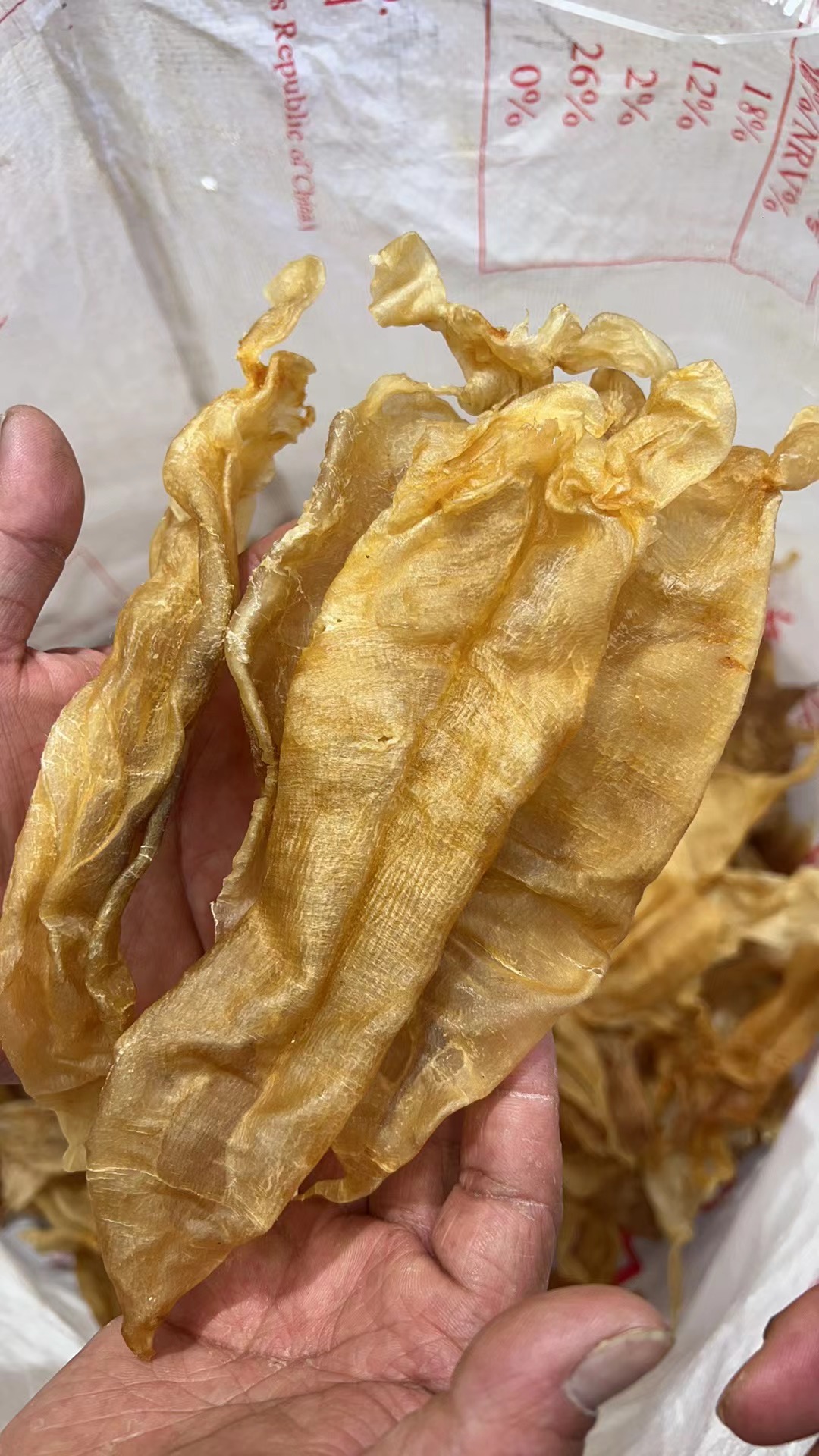 速鲜汇（次）25头大耳金钱鱼胶250g老货干货（送布袋）