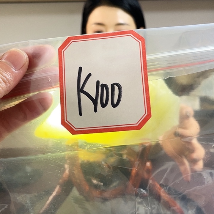 杨***锋蛇纹石玉未镶嵌珠宝奇石