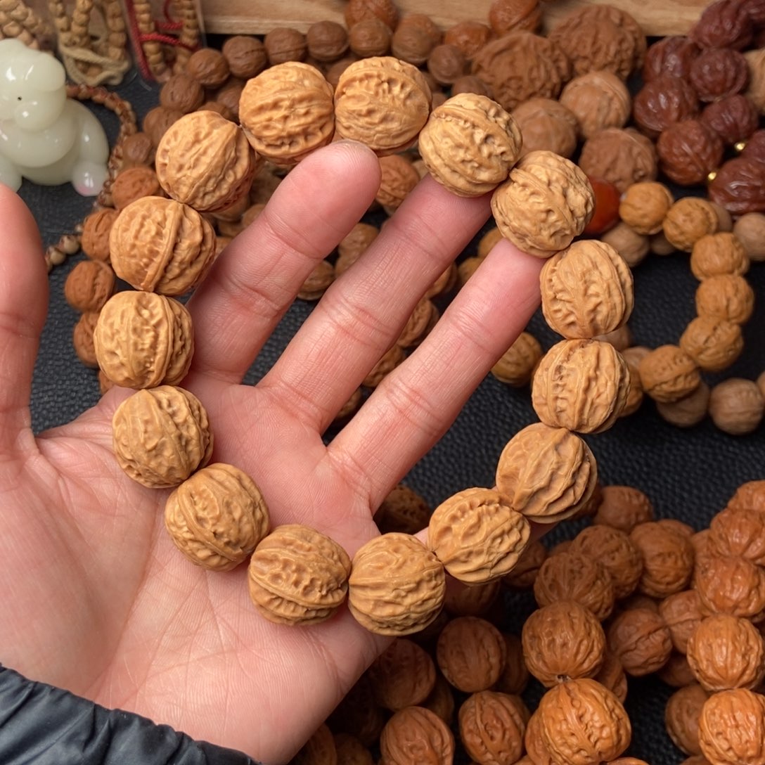 野生小秋子京八楞粗筋姜黄皮20尺