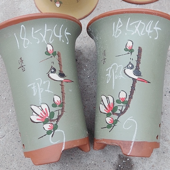 红陶紫砂紫砂这种