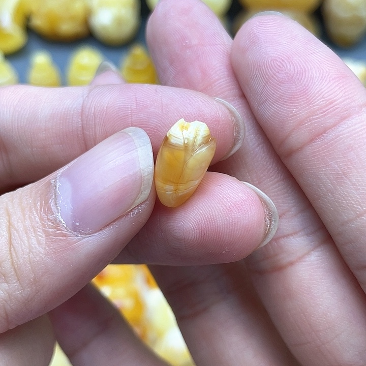 琥珀裸石未镶嵌蜜蜡