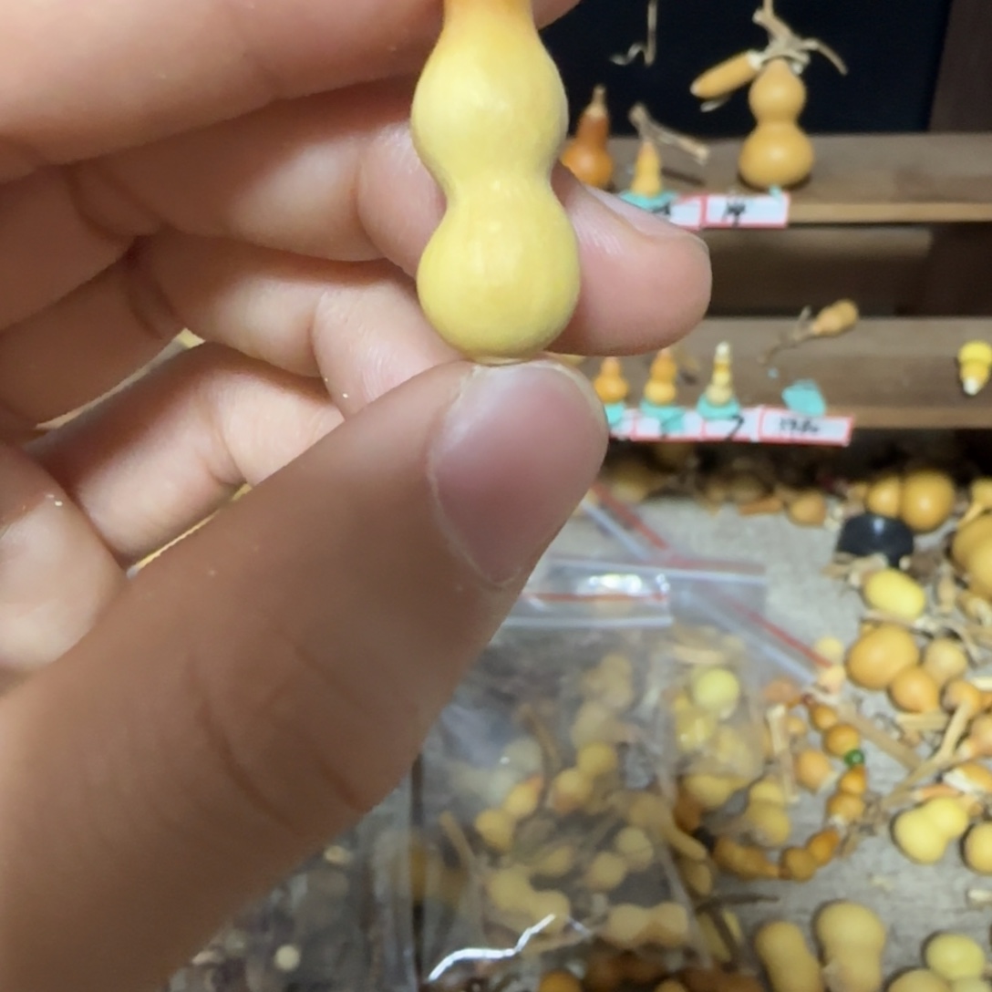 打孔不退不换！秒拍秒退拉黑！