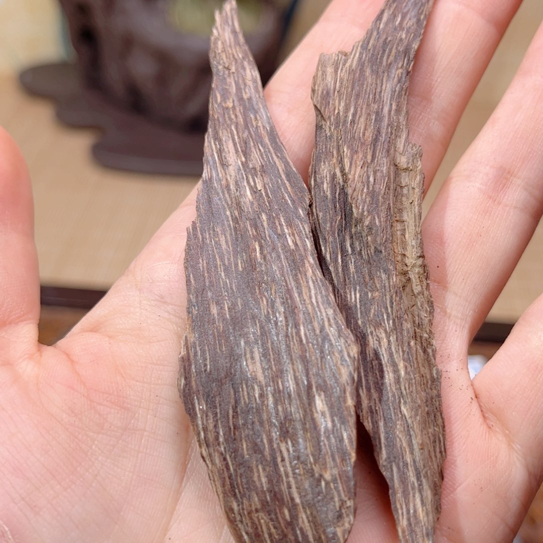 香榧木海南木料屯昌树心油8克福利