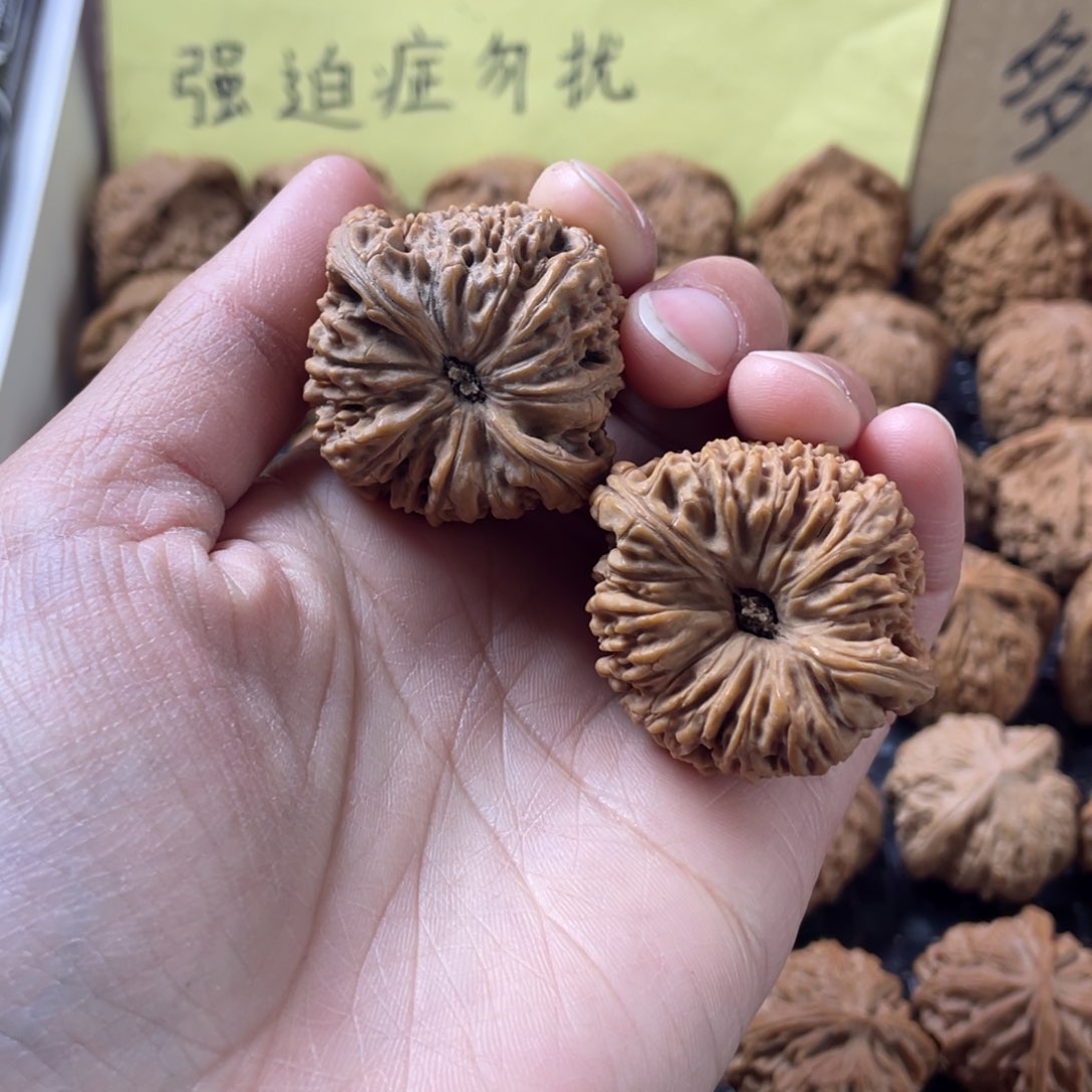 球疆。   边40       
