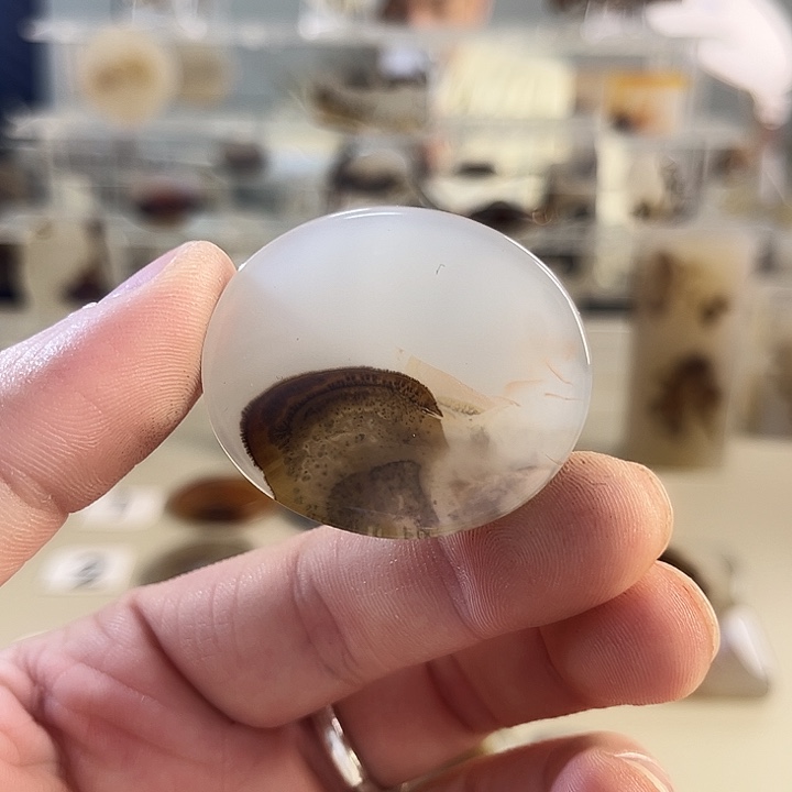 玛瑙/玉髓吊坠(不含链)未镶嵌