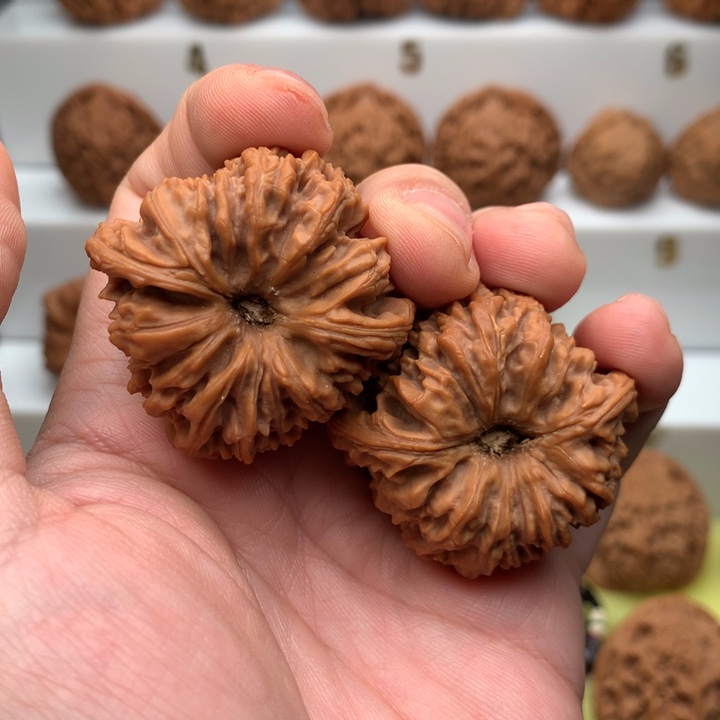 囧***男文玩核桃把件深奥南疆