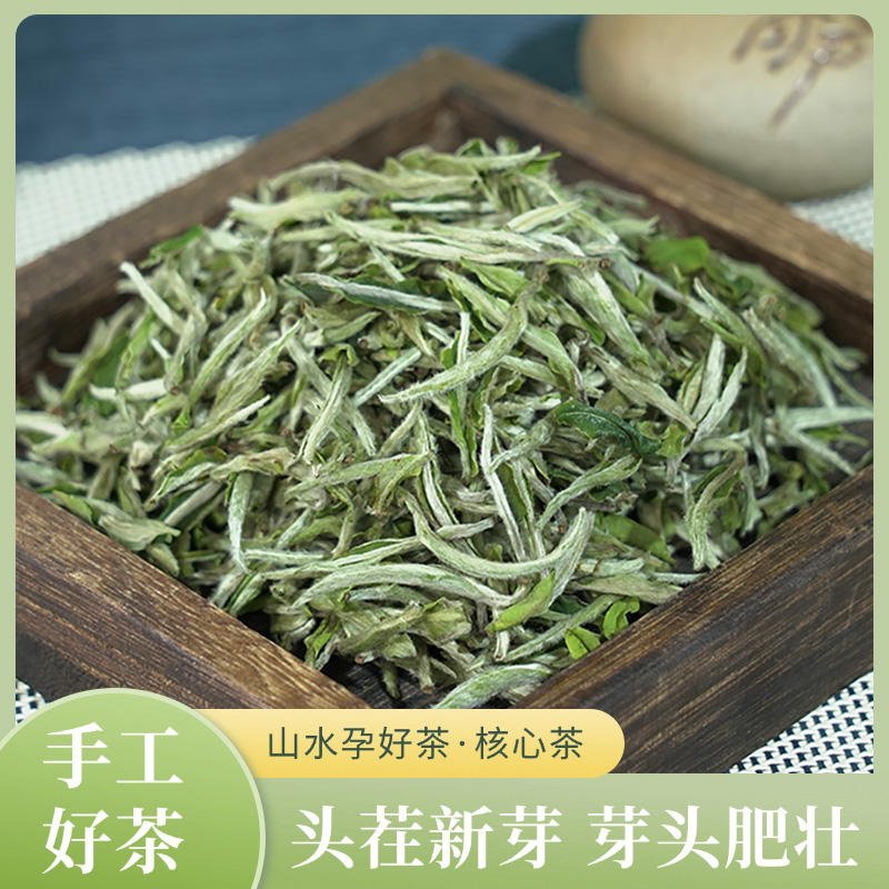 【茶嫂推荐】2025年新茶白毫银针毫香明显茶叶2025新茶