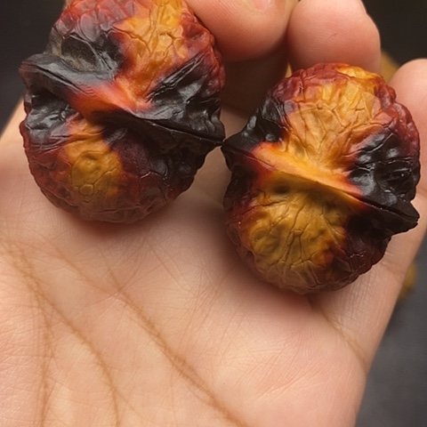 文玩核桃把件39尺金龟