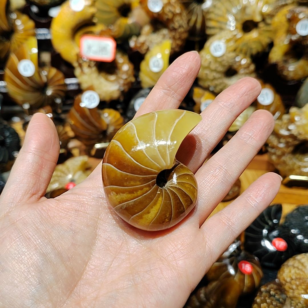 游***客有机玻璃123456789