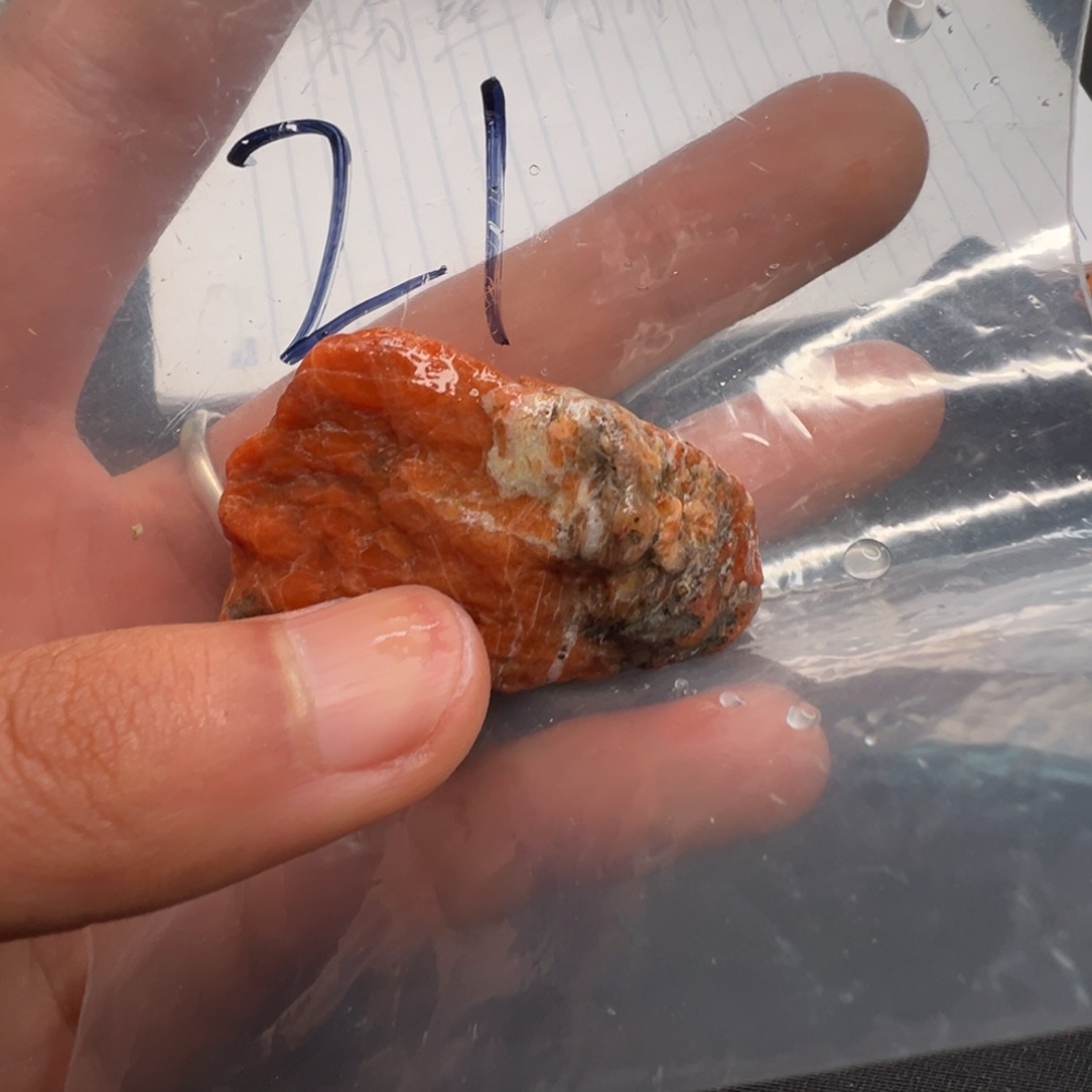 南红玛瑙未镶嵌21号南红随型卤***饺