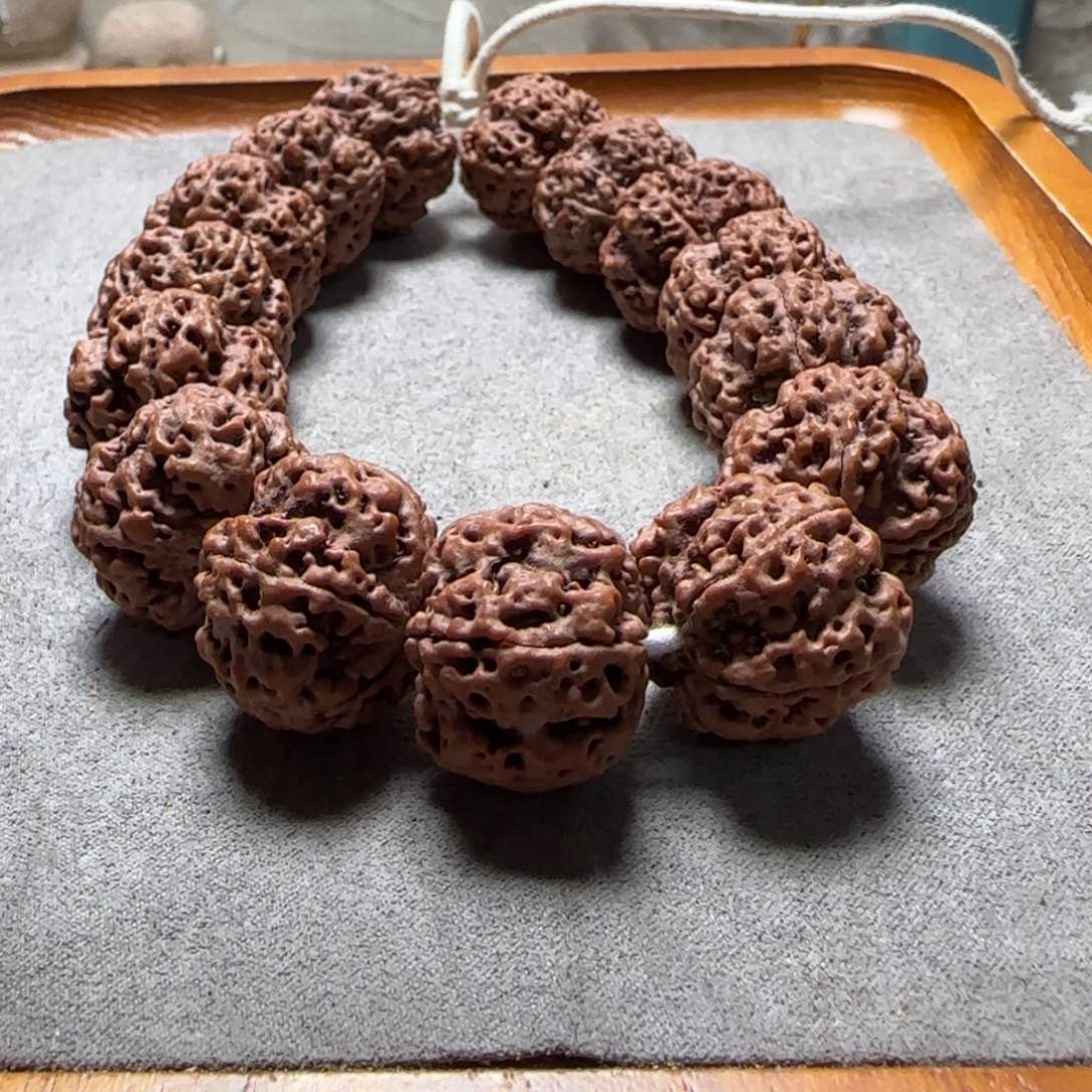 金刚菩提手串狸***大金刚