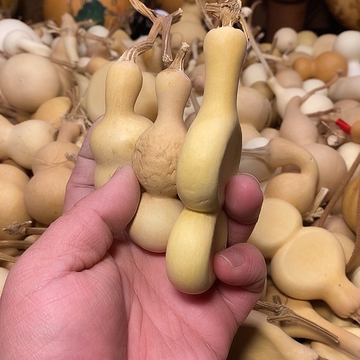 大***阳精品葫芦手把葫芦68