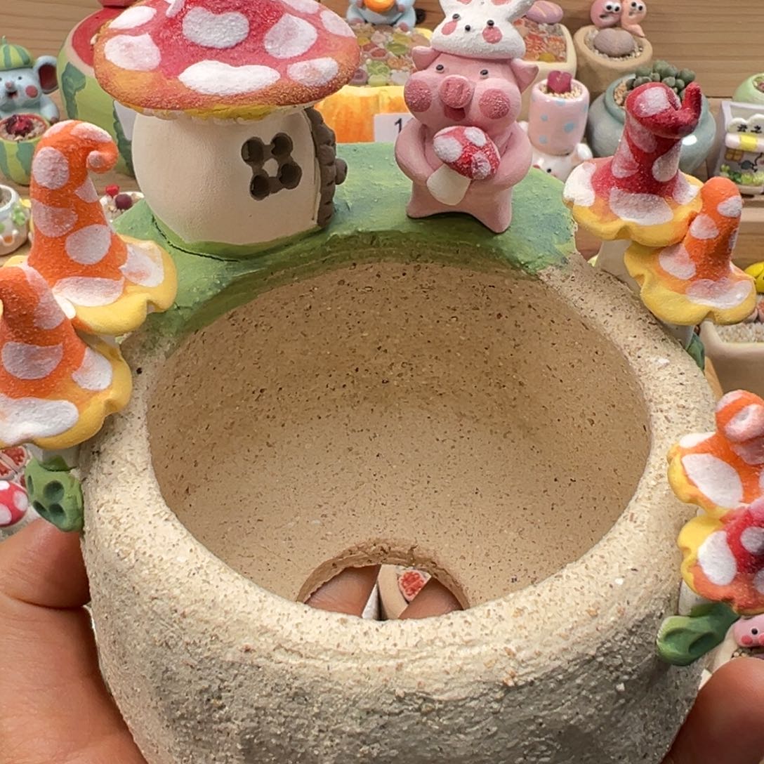 暮****多肉植物150号种花海