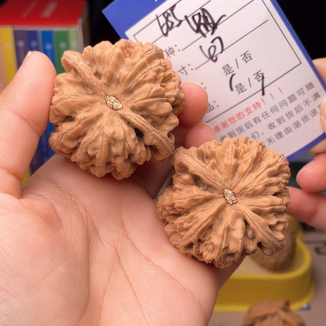 核桃文玩核桃手手捻685