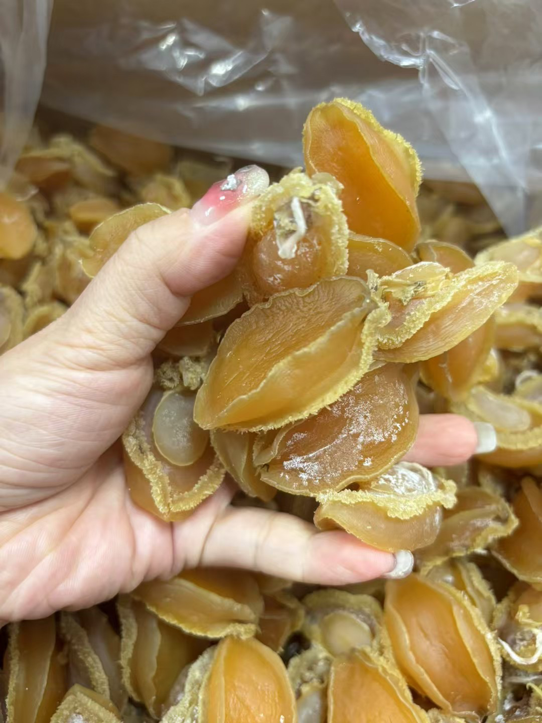 大连鲍鱼干 煲汤 焖菜 鸿浩海味