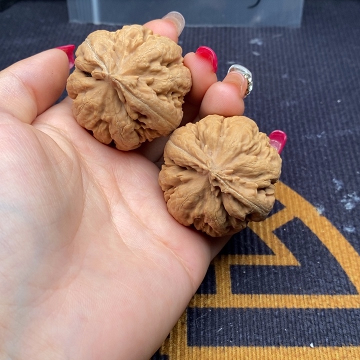 老***人把件文玩核桃霸王龙