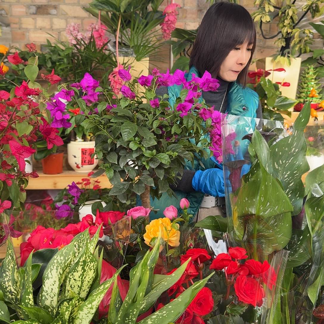 完全开放转运竹带瓶