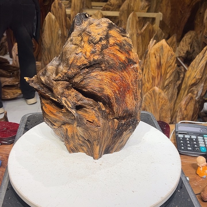 松木（琥珀木）阿*