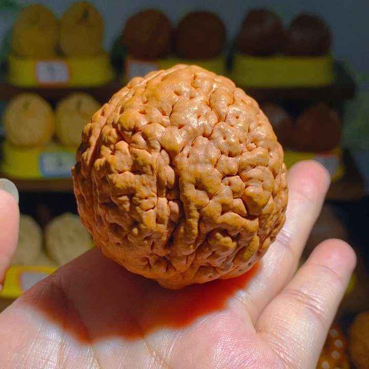 野生三瓣脑纹大金刚5355