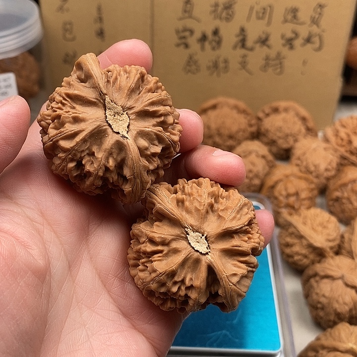 d***？木质类88.88.88.88