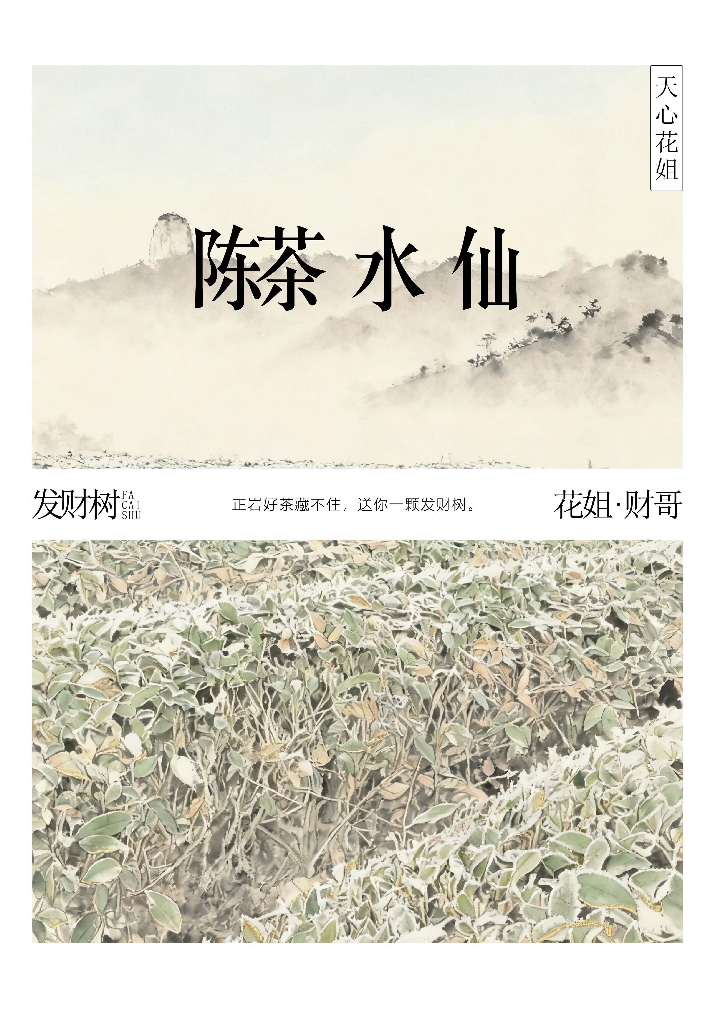 【发财树】天心花姐//陈茶水仙//陈香陈韵//武夷岩茶//8.3克*2泡