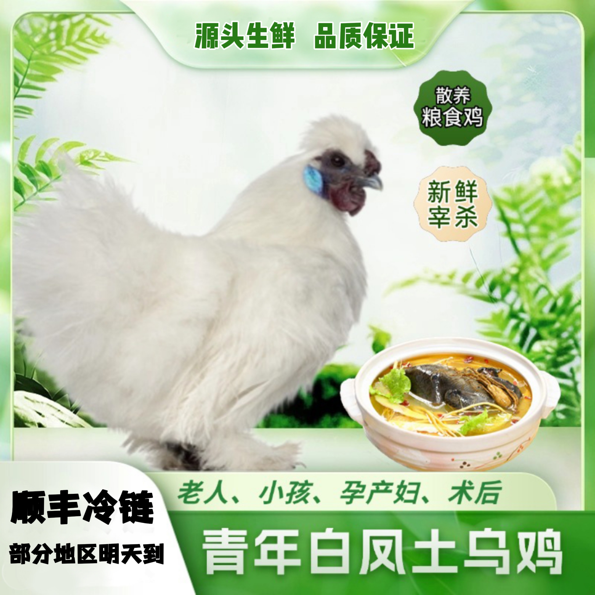 【抢秒杀2只装】源头农场散养正宗白凤土乌鸡*冷链运输*保鲜到家