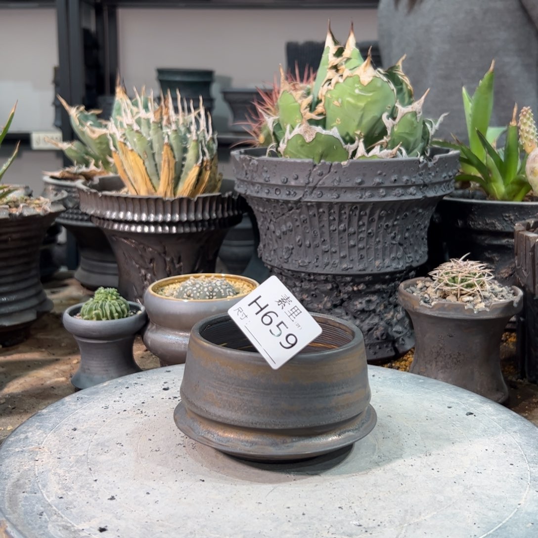 景德镇手工素里内口8高6