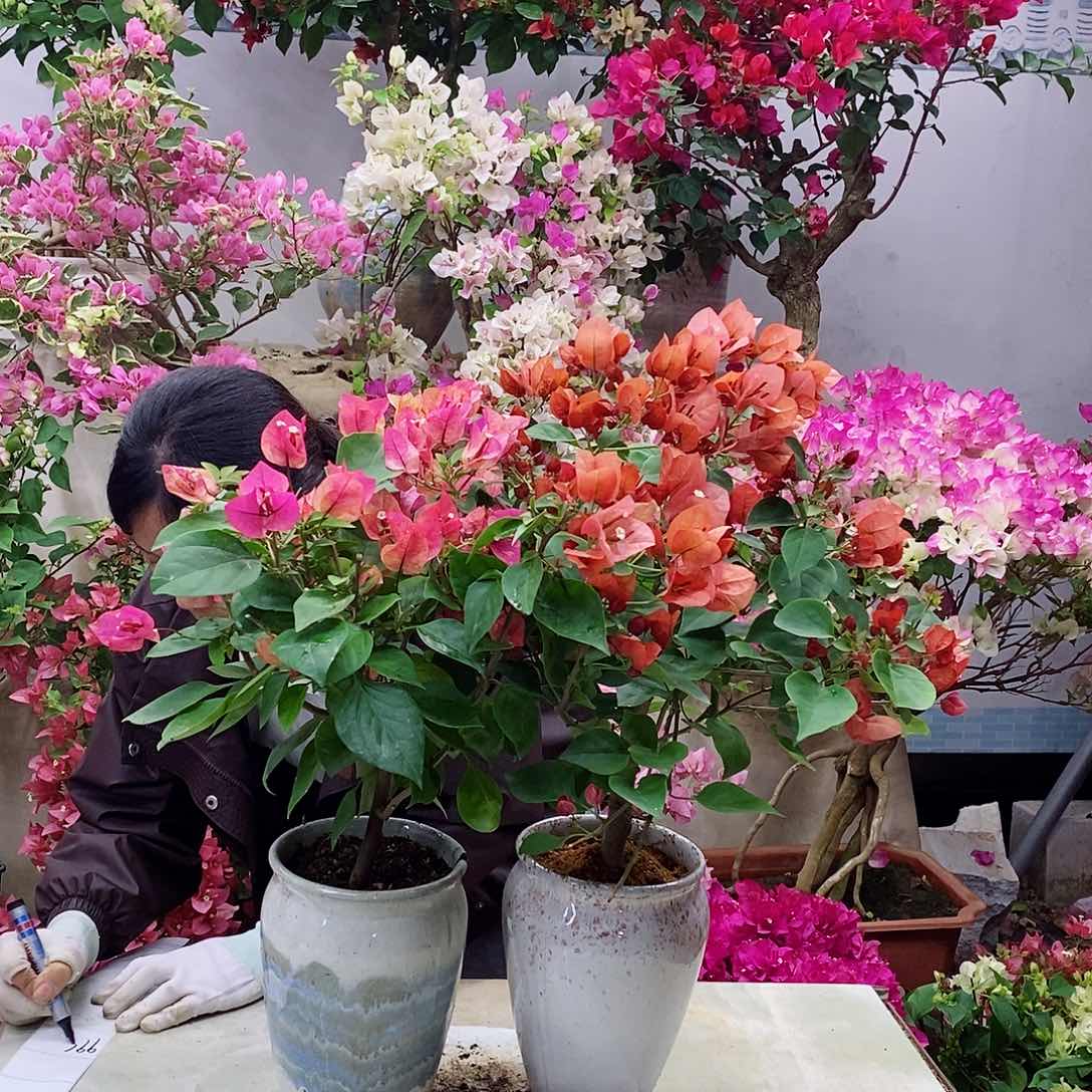 完全开放我要好好学习