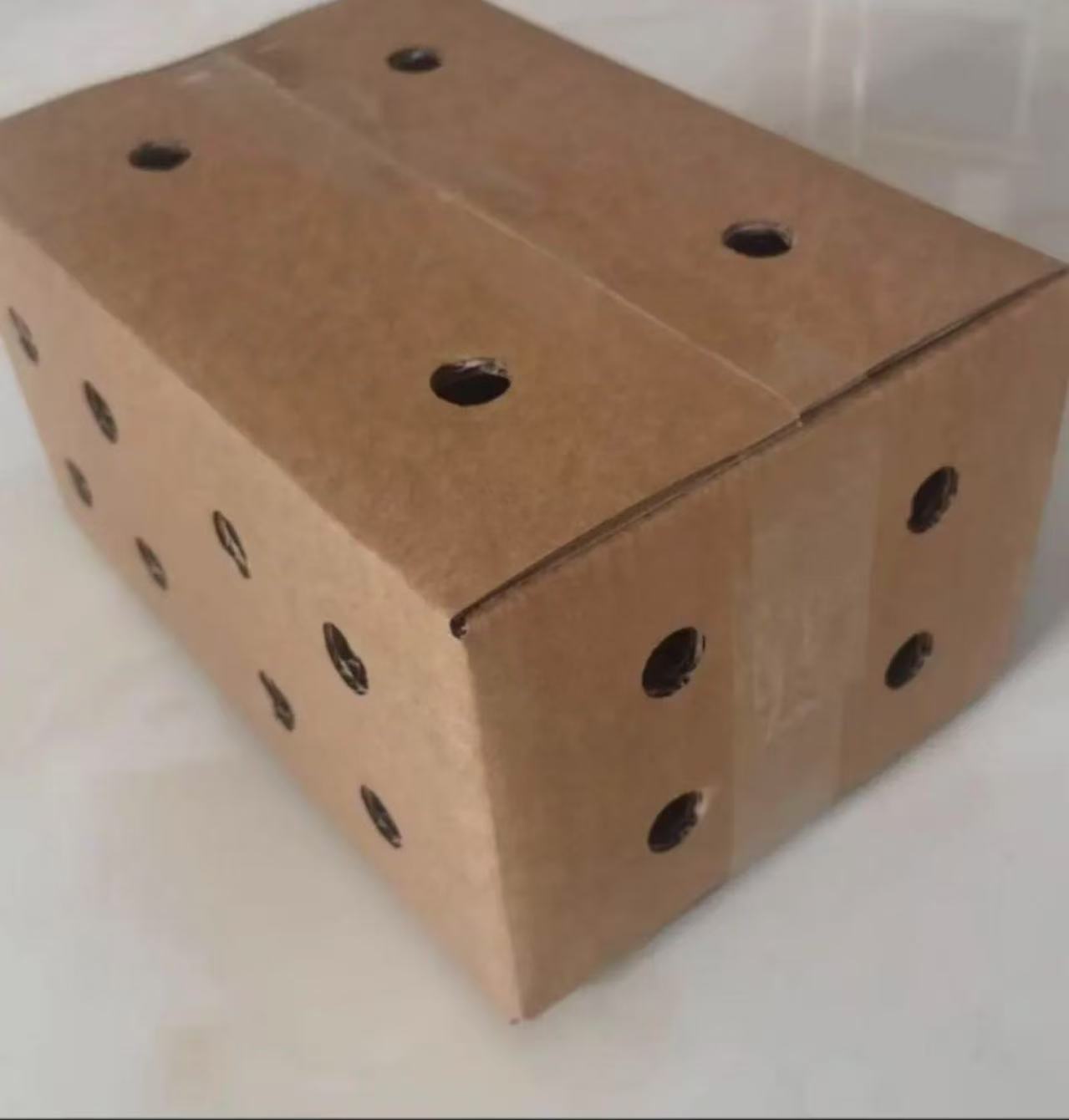 顺丰包邮（脱温青脚麻系列）快递收纳箱