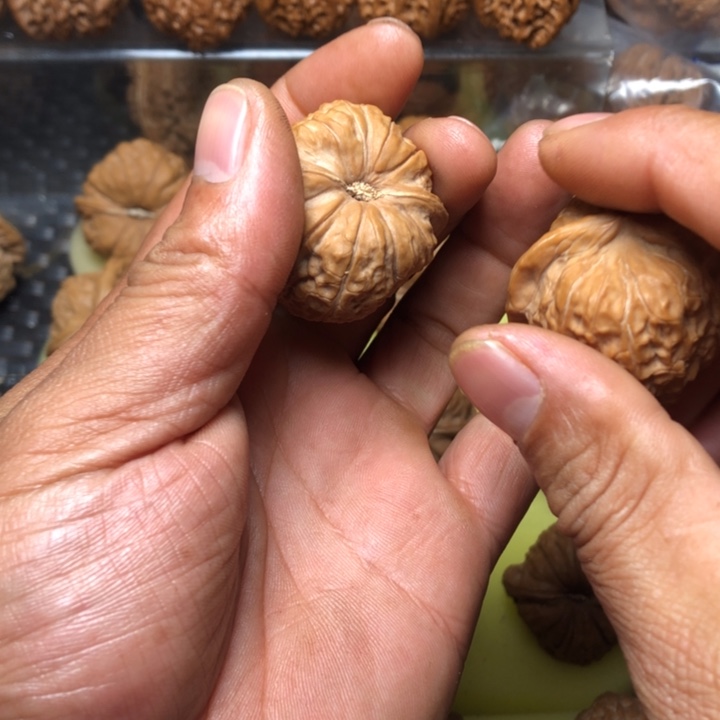 A***衷大叶紫檀（黑酸枝木类）