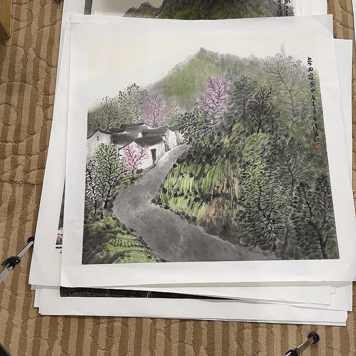 国画山*花鸟等多种鸟类和鸟类