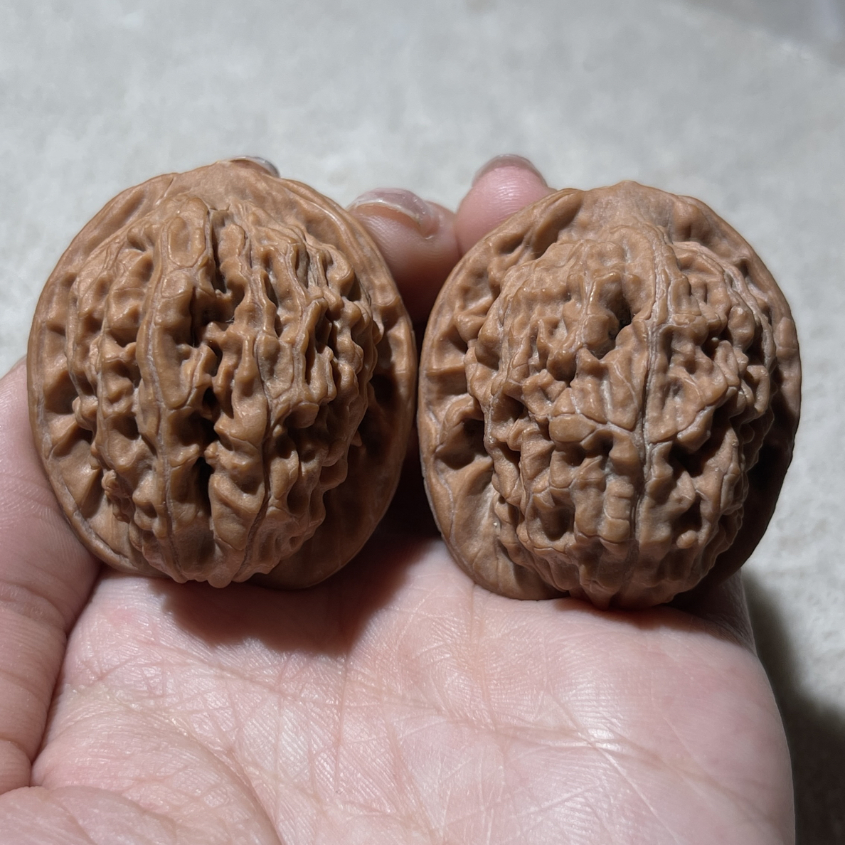 特价全品莲花尺寸40以下，尖有小黄，练手普对皮质黄蜡皮走色牛津红