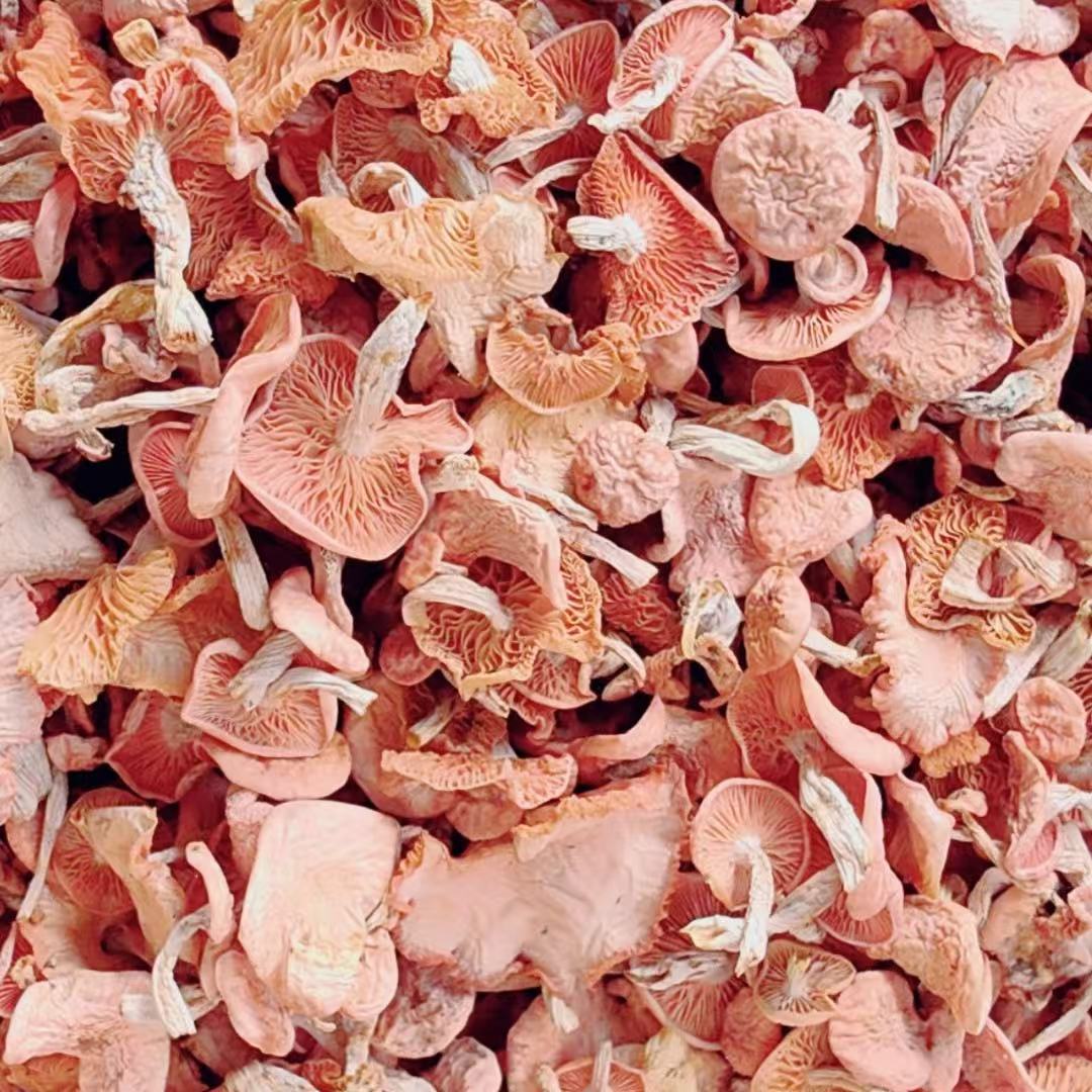 云南野生、果香菌、现收干货农产品 250g