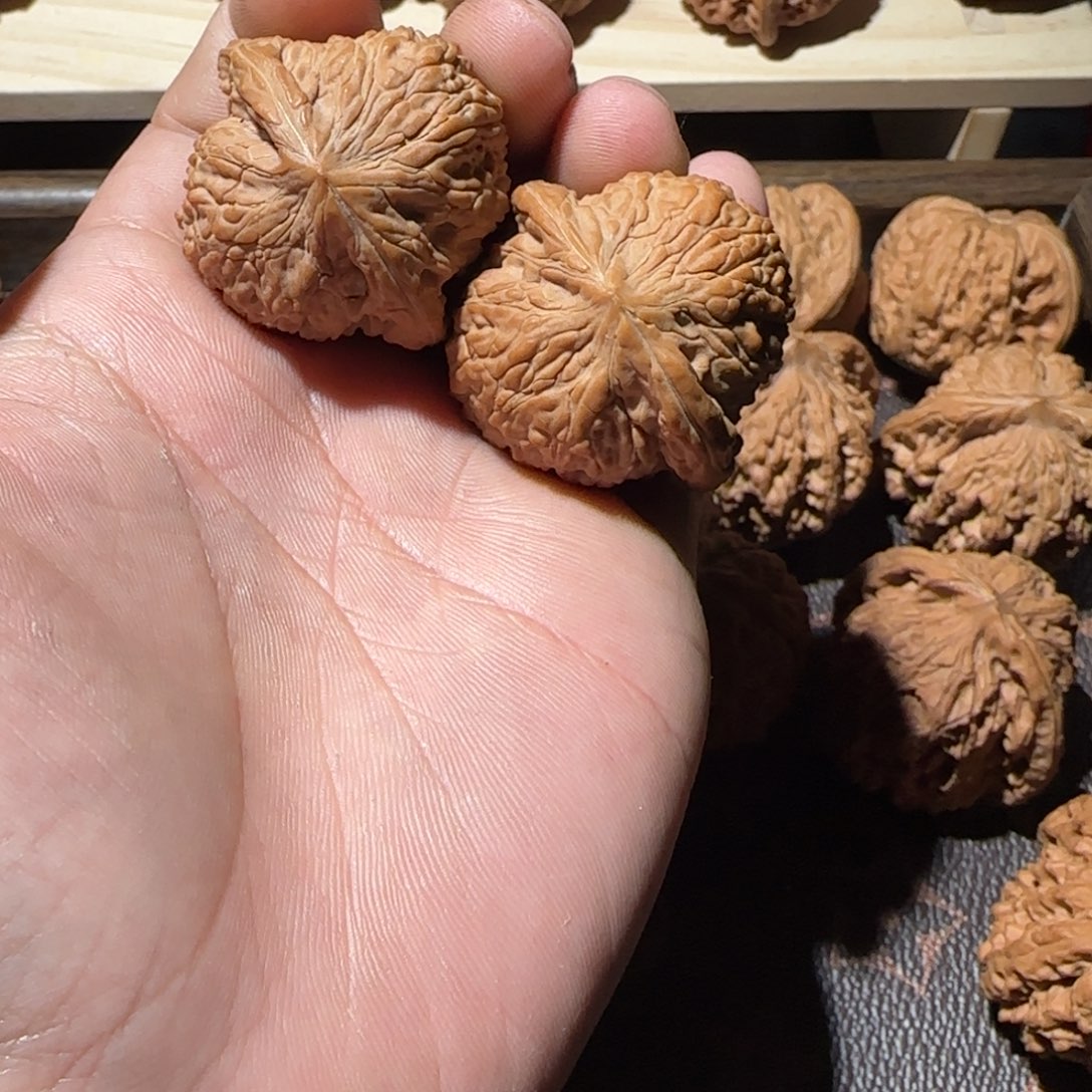 泥鳅背哈哈哈哈哈哈哈