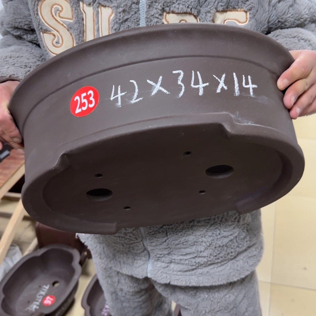 紫砂花盆呜呜呜呜