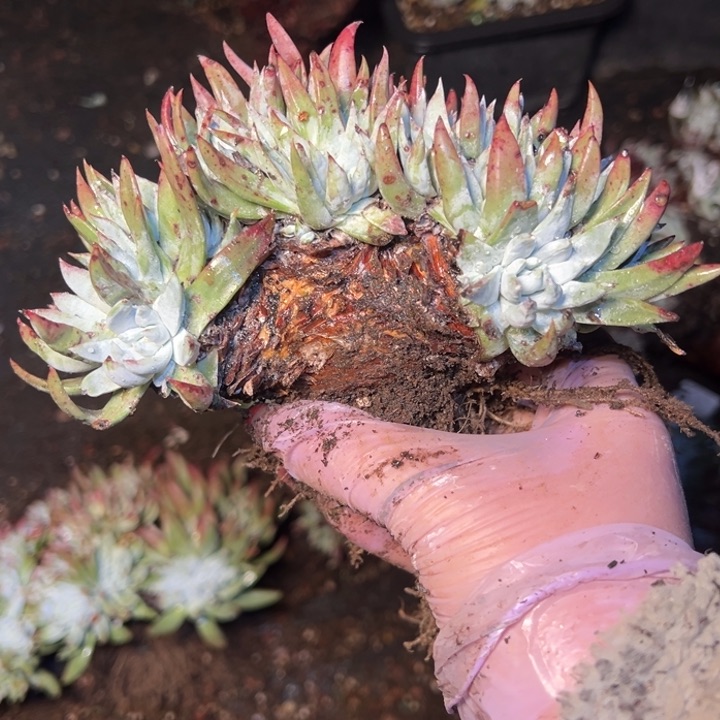 220哈哈哈哈哈哈哈哈