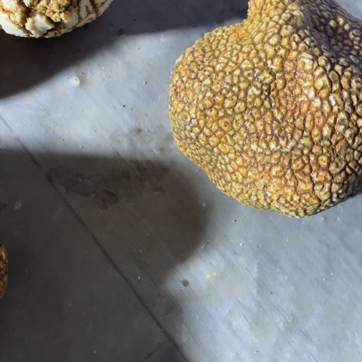 用***8石材奇石怪石摆件