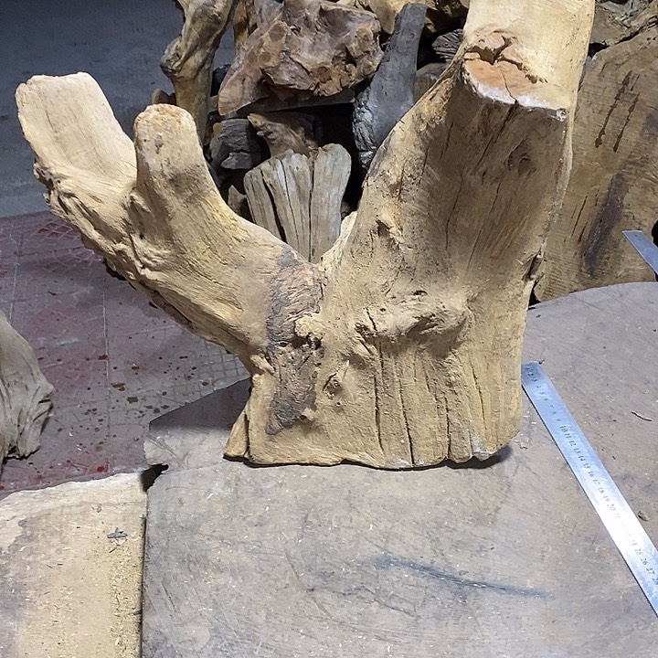 乌木类金丝楠木小叶