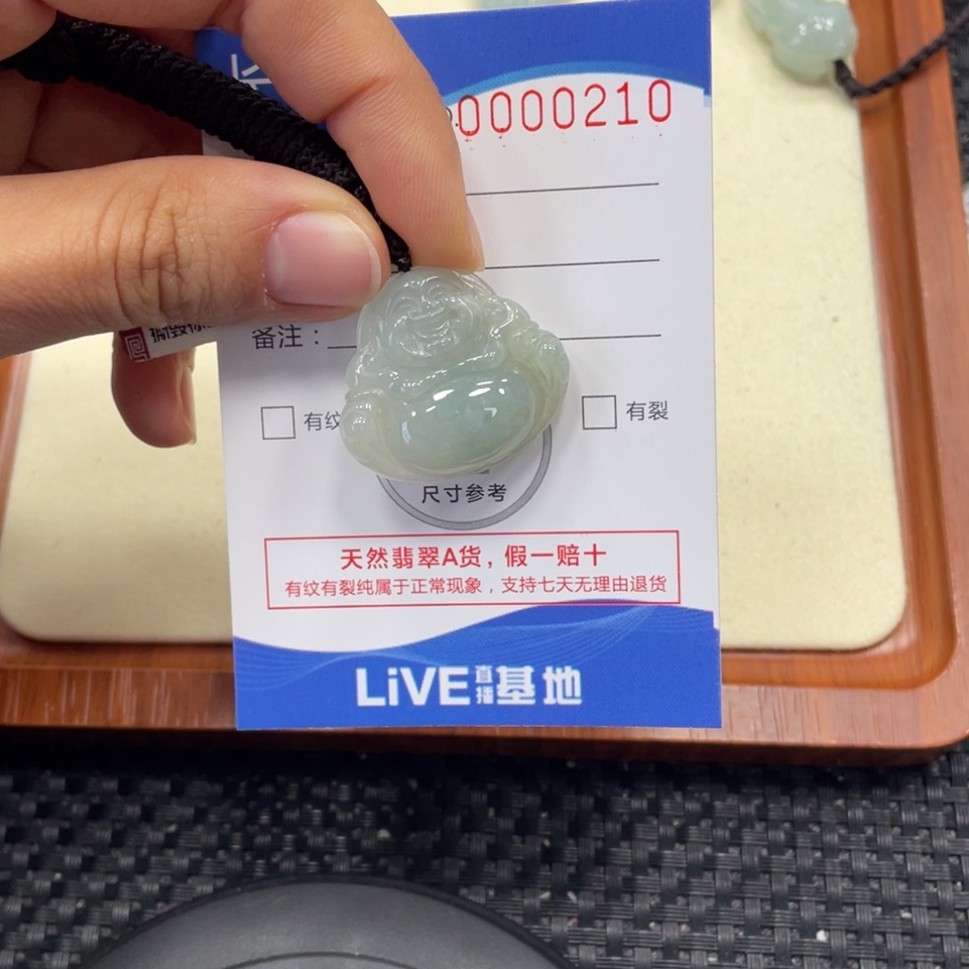 颈饰未镶嵌翡翠x0210